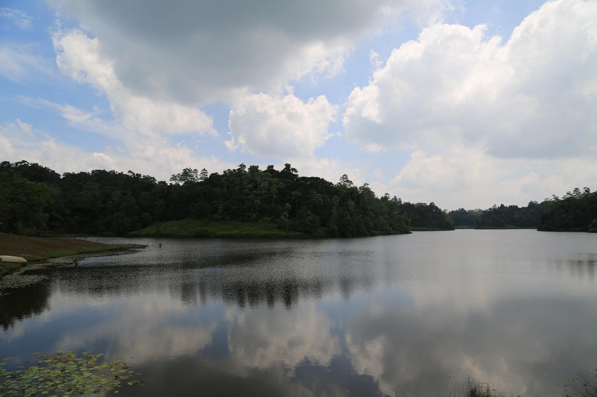 Lake at Hiyare Forest 